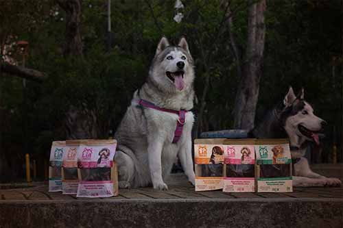 snacks deshidratados